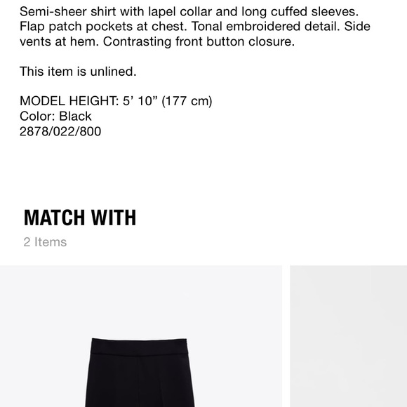 Embroidered Tulle Shirt - Picture 4 of 4